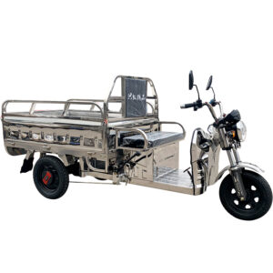 New energy Electric tricycle SSTR1