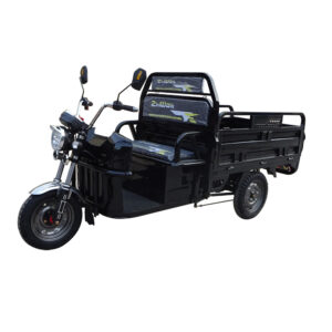 New energy Electric tricycle TR1