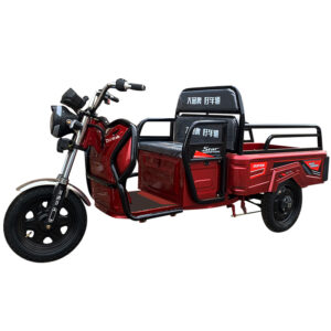 New energy Electric tricycle STR11.1